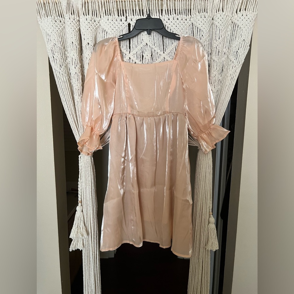 NWT Belongsci dress